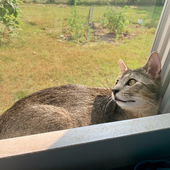 😍See something you must have? - Picture 14 of 16